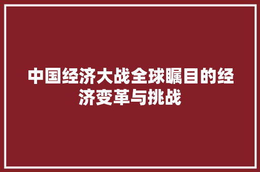 中国经济大战全球瞩目的经济变革与挑战