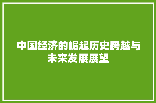 中国经济的崛起历史跨越与未来发展展望 中国经济的崛起历史跨越与未来发展展望