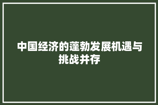 中国经济的蓬勃发展机遇与挑战并存 中国经济的蓬勃发展机遇与挑战并存