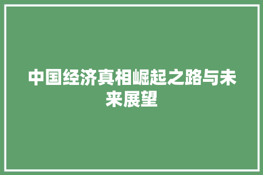 中国经济真相崛起之路与未来展望 中国经济真相崛起之路与未来展望