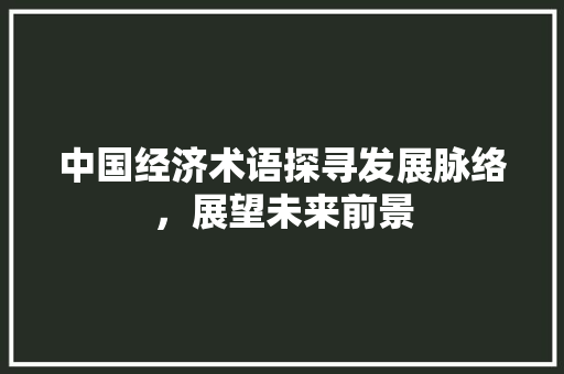 中国经济术语探寻发展脉络,展望未来前景 中国经济术语探寻发展脉络,展望未来前景