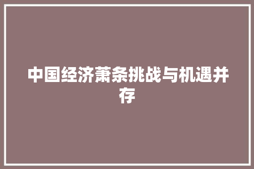 中国经济萧条挑战与机遇并存 中国经济萧条挑战与机遇并存