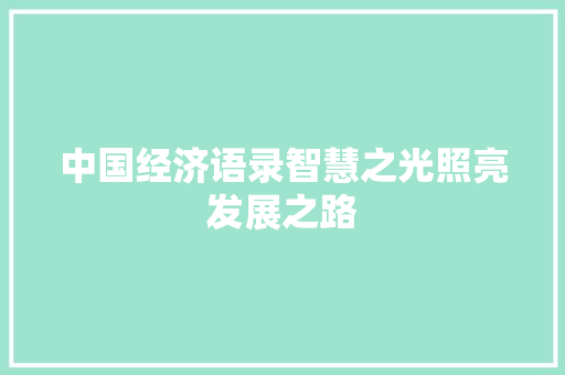 中国经济语录智慧之光照亮发展之路