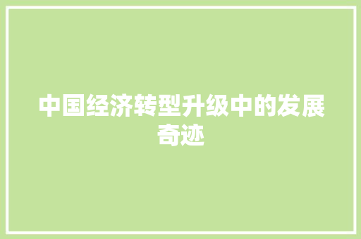 中国经济转型升级中的发展奇迹 中国经济转型升级中的发展奇迹