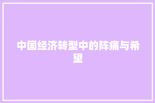 中国经济转型中的阵痛与希望 中国经济转型中的阵痛与希望