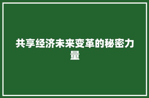 共享经济未来变革的秘密力量 共享经济未来变革的秘密力量