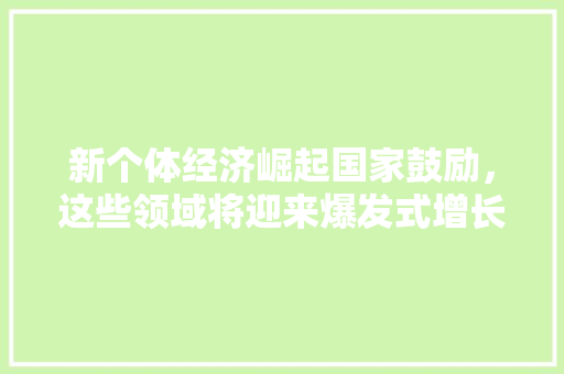 新个体经济崛起国家鼓励,这些领域将迎来爆发式增长! 新个体经济崛起国家鼓励,这些领域将迎来爆发式增长!
