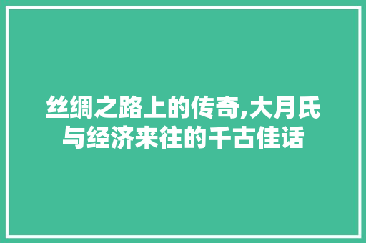 丝绸之路上的传奇,大月氏与经济来往的千古佳话 丝绸之路上的传奇,大月氏与经济来往的千古佳话