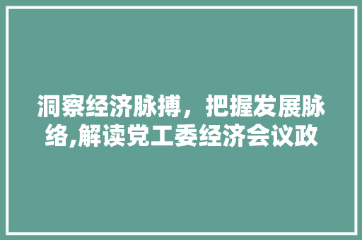 洞察经济脉搏,把握发展脉络,解读党工委经济会议政策导向 洞察经济脉搏,把握发展脉络,解读党工委经济会议政策导向