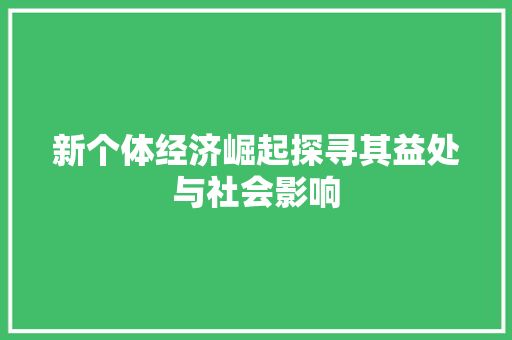 新个体经济崛起探寻其益处与社会影响 新个体经济崛起探寻其益处与社会影响