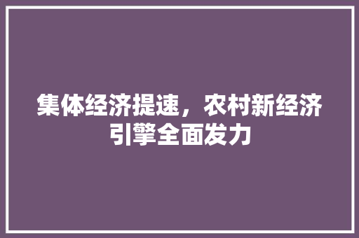 集体经济提速,农村新经济引擎全面发力 集体经济提速,农村新经济引擎全面发力
