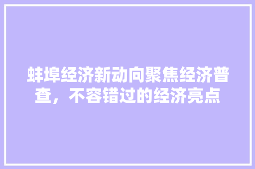 蚌埠经济新动向聚焦经济普查,不容错过的经济亮点 蚌埠经济新动向聚焦经济普查,不容错过的经济亮点