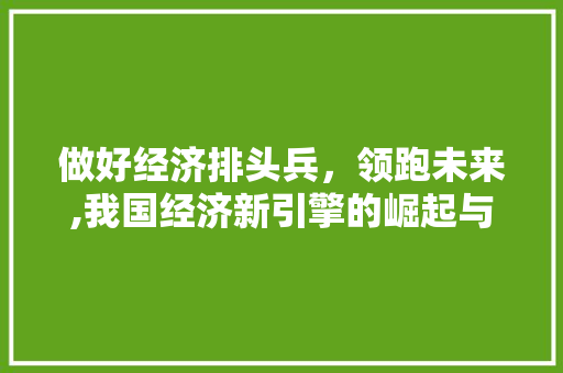 做好经济排头兵,领跑未来,我国经济新引擎的崛起与展望 做好经济排头兵,领跑未来,我国经济新引擎的崛起与展望
