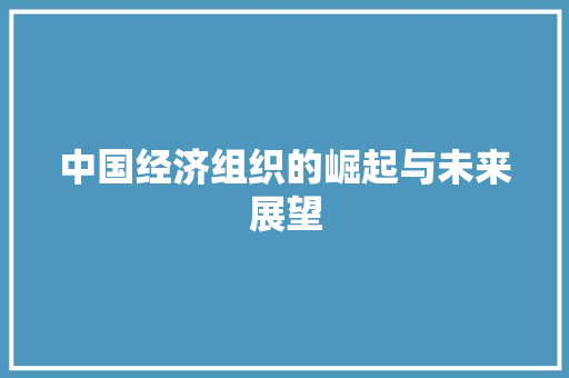 中国经济组织的崛起与未来展望