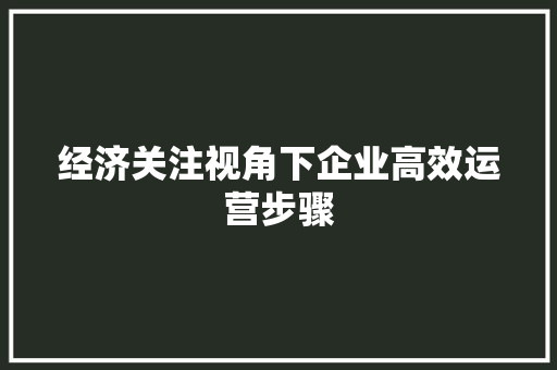 经济关注视角下企业高效运营步骤 经济关注视角下企业高效运营步骤