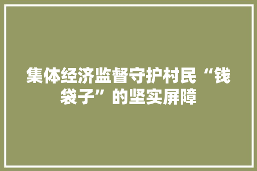 集体经济监督守护村民“钱袋子”的坚实屏障 集体经济监督守护村民“钱袋子”的坚实屏障