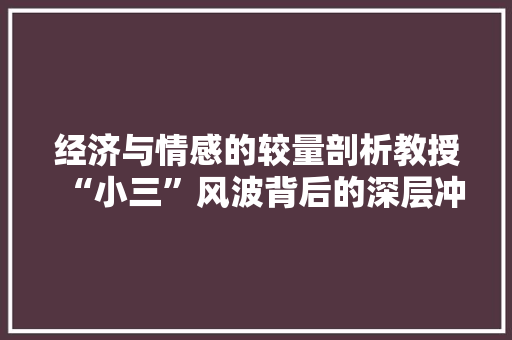 经济与情感的较量剖析教授“小三”风波背后的深层冲突 经济与情感的较量剖析教授“小三”风波背后的深层冲突