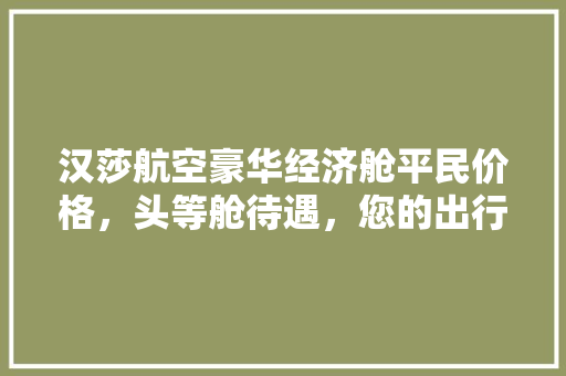 汉莎航空豪华经济舱平民价格,头等舱待遇,您的出行新选择! 汉莎航空豪华经济舱平民价格,头等舱待遇,您的出行新选择!