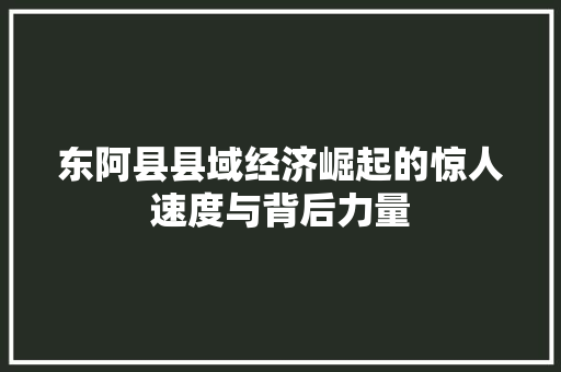 东阿县县域经济崛起的惊人速度与背后力量 东阿县县域经济崛起的惊人速度与背后力量