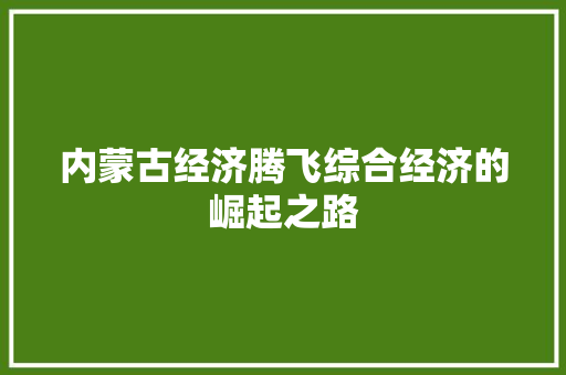内蒙古经济腾飞综合经济的崛起之路 内蒙古经济腾飞综合经济的崛起之路