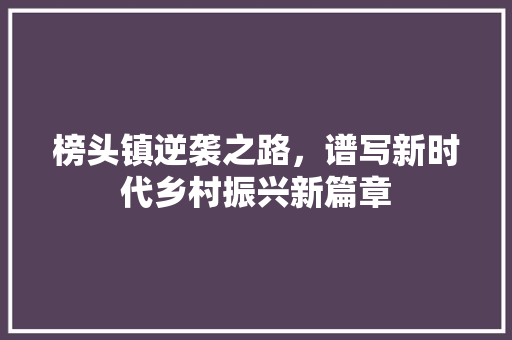 榜头镇逆袭之路,谱写新时代乡村振兴新篇章 榜头镇逆袭之路,谱写新时代乡村振兴新篇章