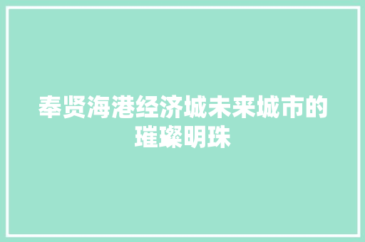 奉贤海港经济城未来城市的璀璨明珠 奉贤海港经济城未来城市的璀璨明珠