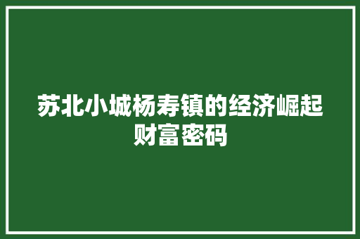 苏北小城杨寿镇的经济崛起财富密码 苏北小城杨寿镇的经济崛起财富密码