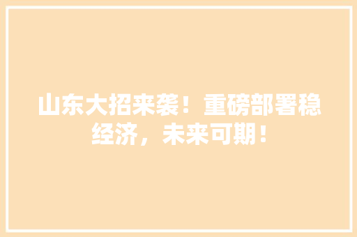 山东大招来袭!重磅部署稳经济,未来可期! 山东大招来袭!重磅部署稳经济,未来可期!