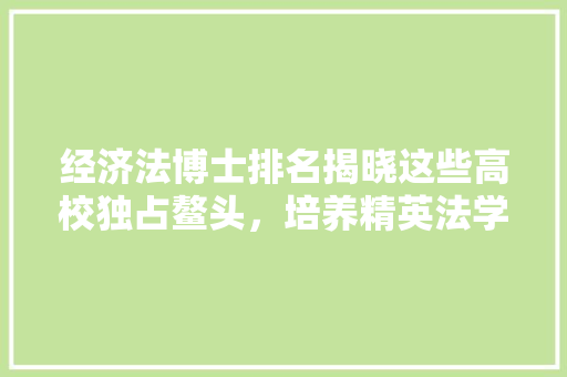 经济法博士排名揭晓这些高校独占鳌头,培养精英法学人才 经济法博士排名揭晓这些高校独占鳌头,培养精英法学人才