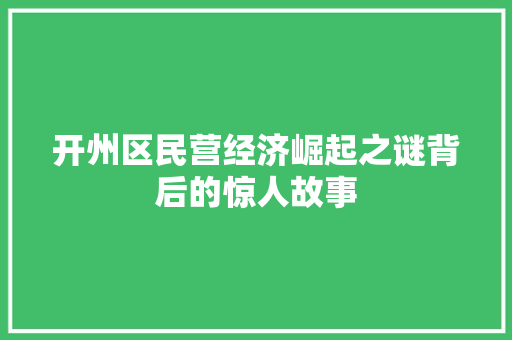 开州区民营经济崛起之谜背后的惊人故事 开州区民营经济崛起之谜背后的惊人故事