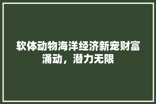 软体动物海洋经济新宠财富涌动,潜力无限 软体动物海洋经济新宠财富涌动,潜力无限