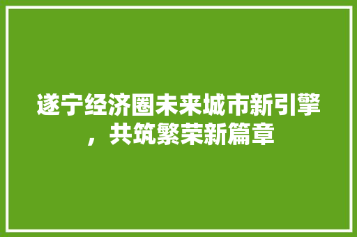 遂宁经济圈未来城市新引擎,共筑繁荣新篇章 遂宁经济圈未来城市新引擎,共筑繁荣新篇章