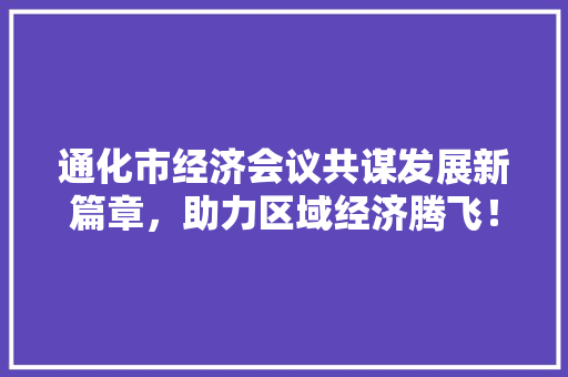 通化市经济会议共谋发展新篇章,助力区域经济腾飞! 通化市经济会议共谋发展新篇章,助力区域经济腾飞!
