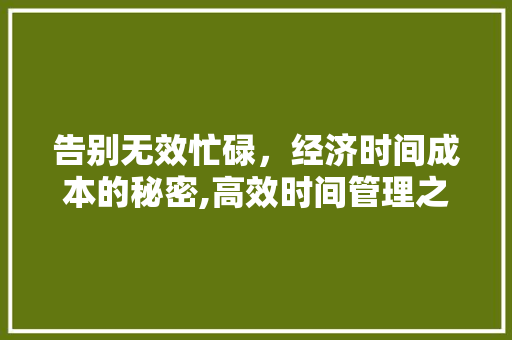 告别无效忙碌,经济时间成本的秘密,高效时间管理之路 告别无效忙碌,经济时间成本的秘密,高效时间管理之路
