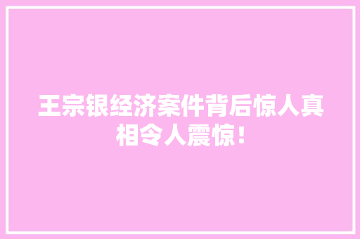 王宗银经济案件背后惊人真相令人震惊! 王宗银经济案件背后惊人真相令人震惊!