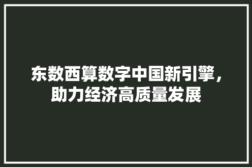 东数西算数字中国新引擎,助力经济高质量发展 东数西算数字中国新引擎,助力经济高质量发展