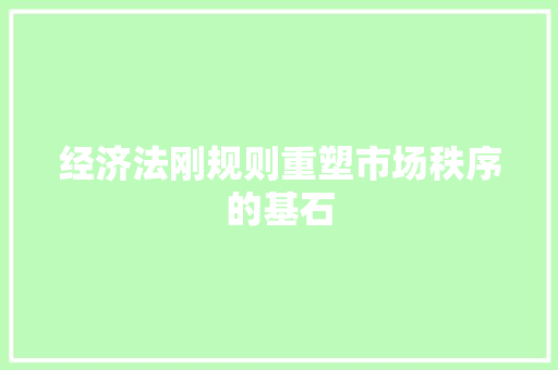 经济法刚规则重塑市场秩序的基石 经济法刚规则重塑市场秩序的基石