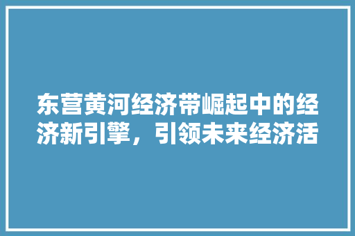 东营黄河经济带崛起中的经济新引擎,引领未来经济活力 东营黄河经济带崛起中的经济新引擎,引领未来经济活力