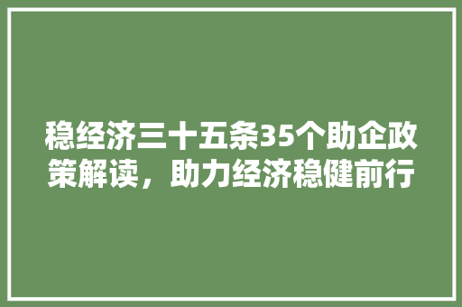 稳经济三十五条35个助企政策解读,助力经济稳健前行 稳经济三十五条35个助企政策解读,助力经济稳健前行