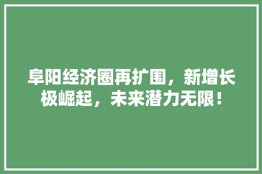 阜阳经济圈再扩围,新增长极崛起,未来潜力无限! 阜阳经济圈再扩围,新增长极崛起,未来潜力无限!