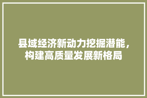 县域经济新动力挖掘潜能,构建高质量发展新格局 县域经济新动力挖掘潜能,构建高质量发展新格局