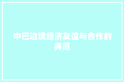 中巴边境经济友谊与合作的典范 中巴边境经济友谊与合作的典范