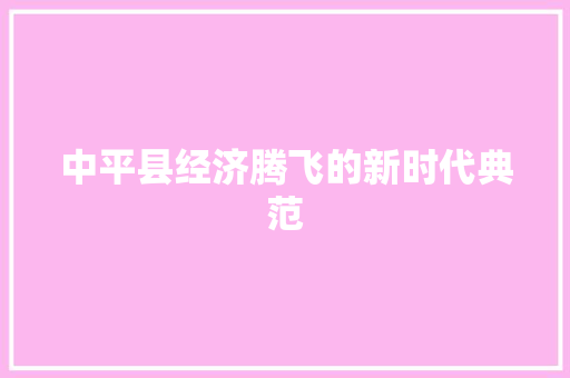 中平县经济腾飞的新时代典范 中平县经济腾飞的新时代典范