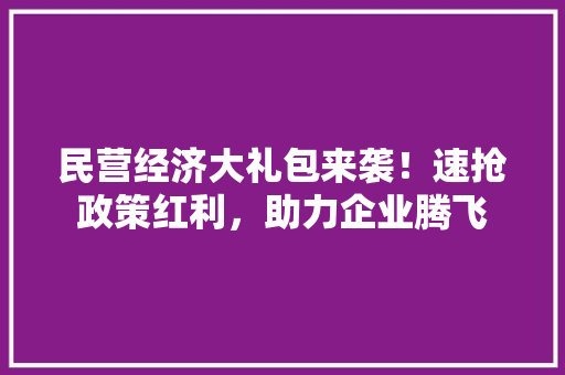 民营经济大礼包来袭!速抢政策红利,助力企业腾飞 民营经济大礼包来袭!速抢政策红利,助力企业腾飞