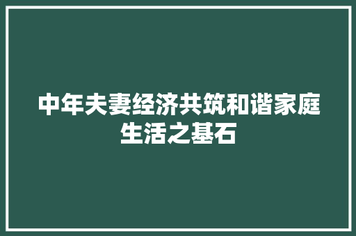 中年夫妻经济共筑和谐家庭生活之基石 中年夫妻经济共筑和谐家庭生活之基石