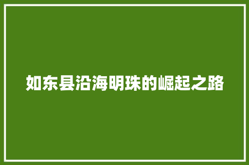 如东县沿海明珠的崛起之路 如东县沿海明珠的崛起之路