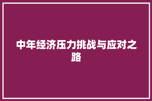中年经济压力挑战与应对之路 中年经济压力挑战与应对之路