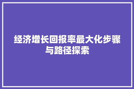 经济增长回报率最大化步骤与路径探索 经济增长回报率最大化步骤与路径探索