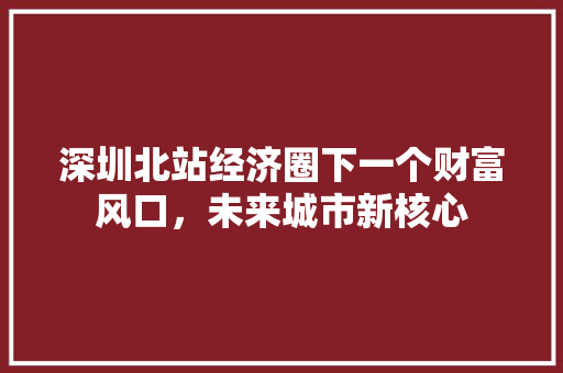 深圳北站经济圈下一个财富风口,未来城市新核心 深圳北站经济圈下一个财富风口,未来城市新核心