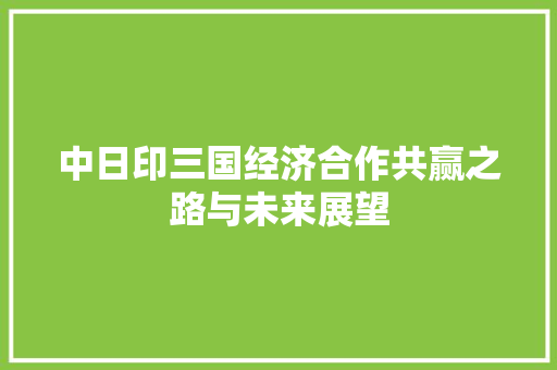 中日印三国经济合作共赢之路与未来展望